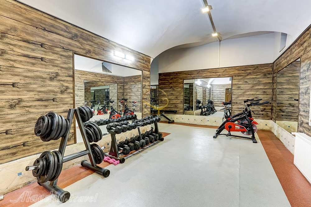 Gym of four star Moshir al-Mamalek Garden Hotel in Yazd| Alaedin Travel