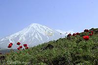 Mount Damavand in Amol