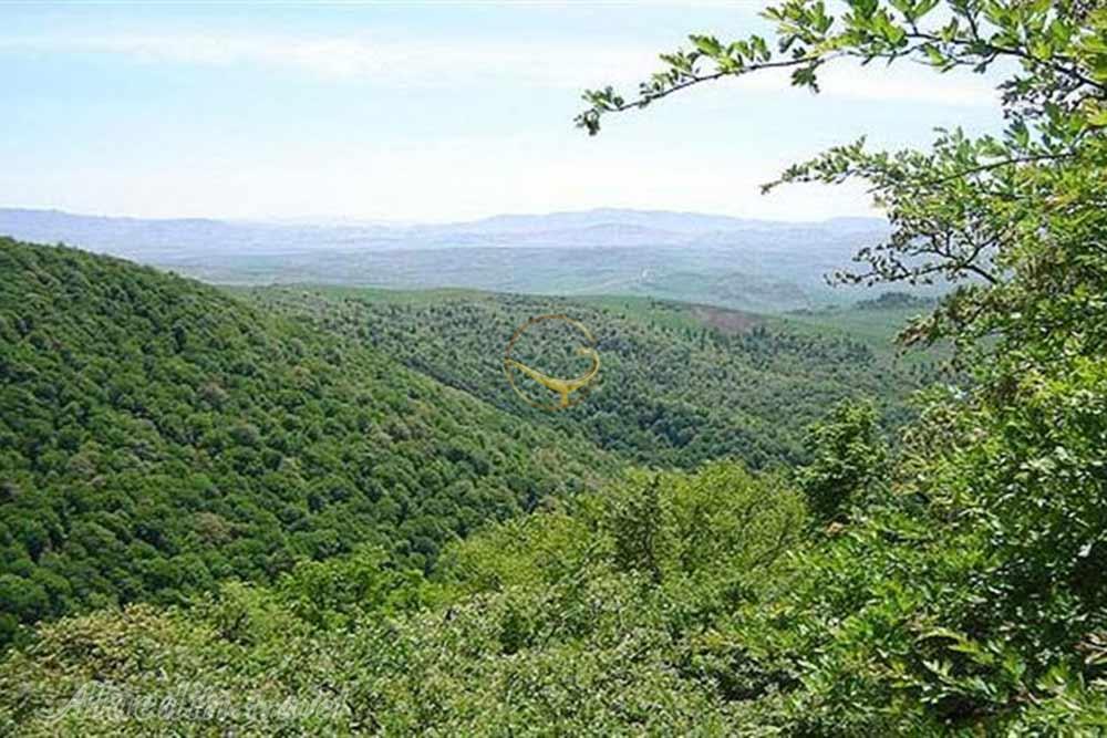 Rudbarak Forest of Mehdishahr | Alaedin Travel