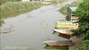 Minoo Island in Abadan