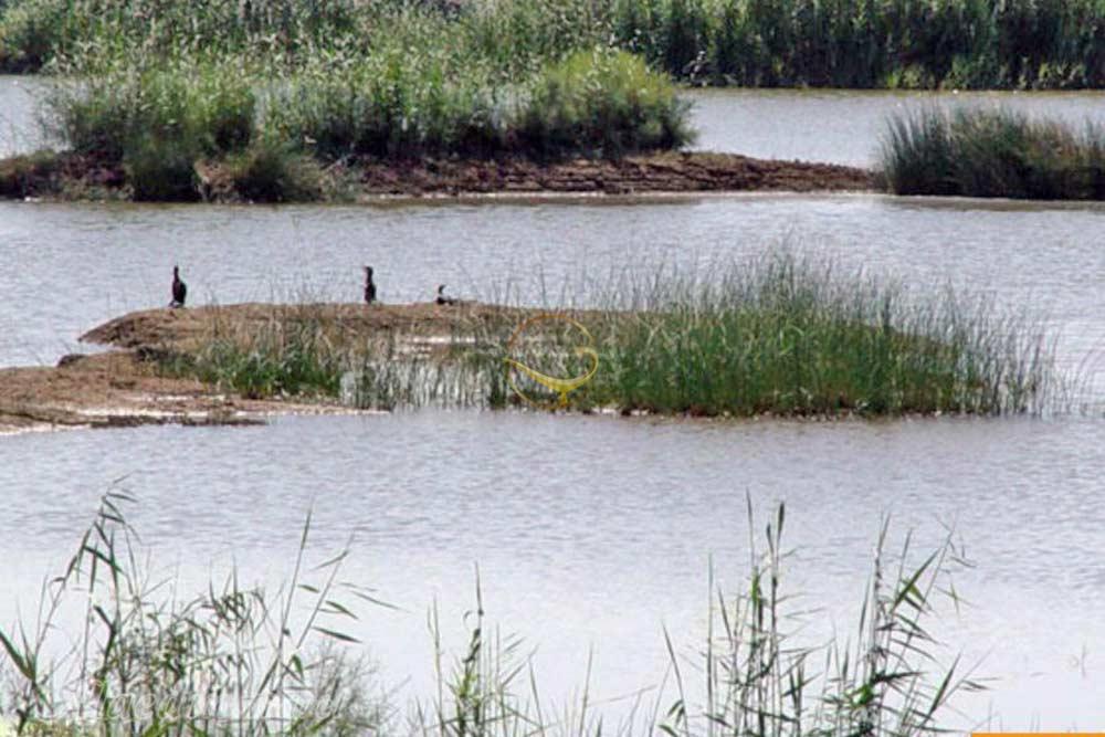 Bamdezh Lagoon in Ahvaz | Alaedin Travel