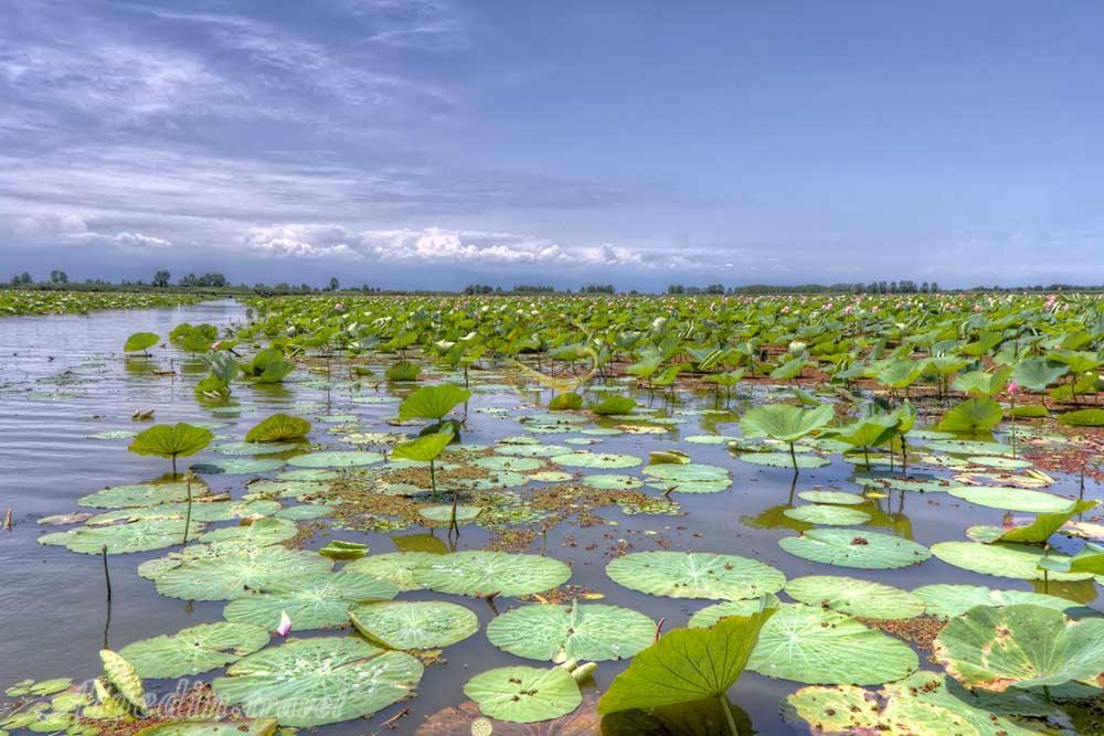 Lagoon of Bandar-e Anzali | Alaedin Travel