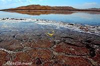 Salt Lake of Aran & Bidgol