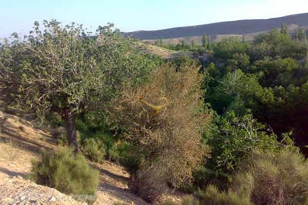 Khabar National Park in Baft