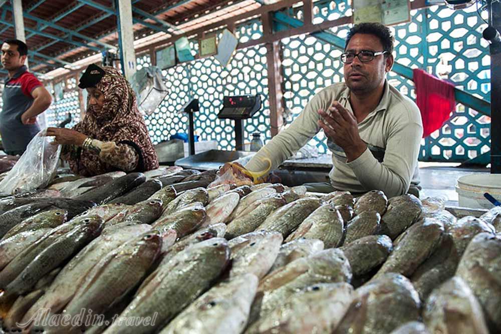 Fish Market of Bandarabbas | Alaedin Travel