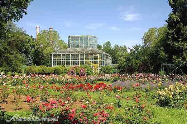 باغ گیاه شناسی بخارست - رومانی