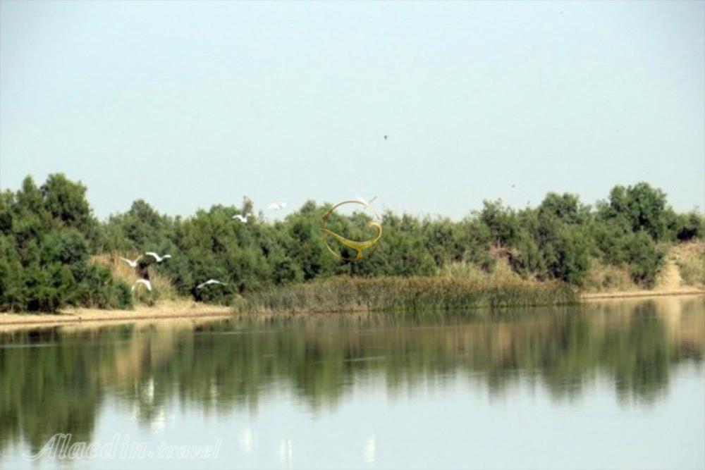 Khormoj Castle of Bushehr | Alaedin Travel