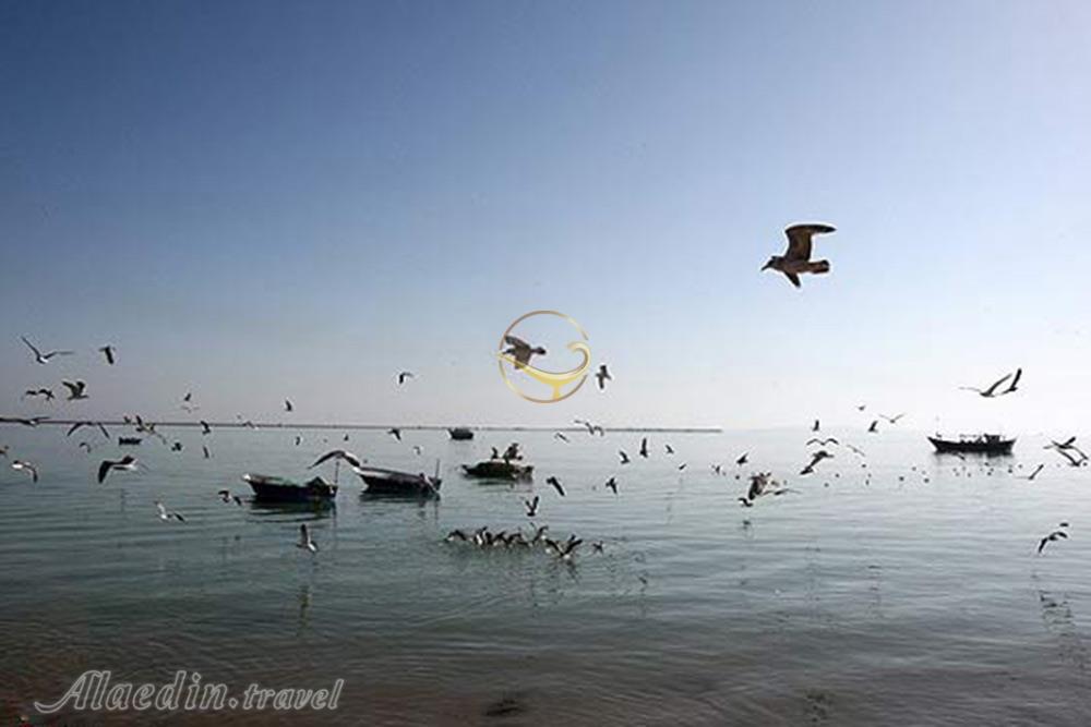 Gwadar Bay of Chabahar | Alaedin Travel