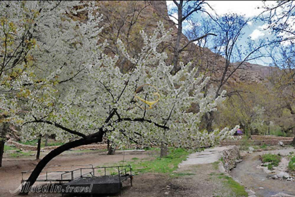 روستای اخملد در چناران - مشهد | علاءالدین تراول