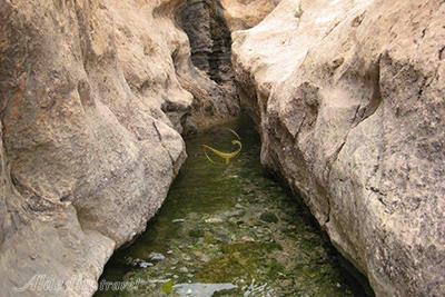 Gholghol Spring in Damghan