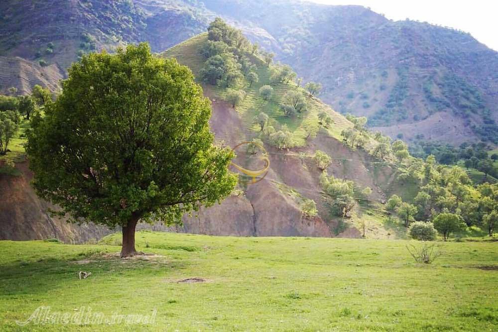 روستای چمسنگر درود| علاءالدین تراول