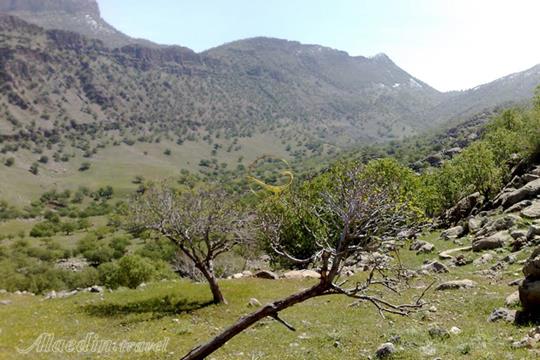 منطقه حفاظت شده کوه خامین گچساران