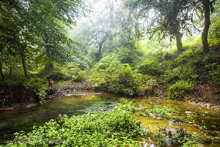 Golestan National Park in Gorgan