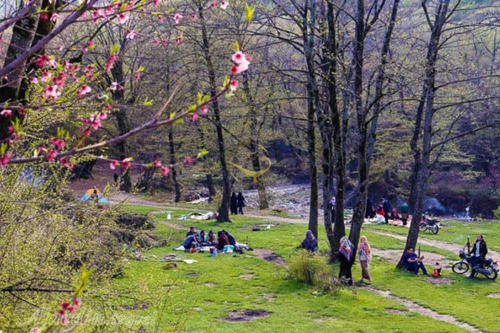 Nahar Khoran Jungle of Gorgan | Alaedin Travel