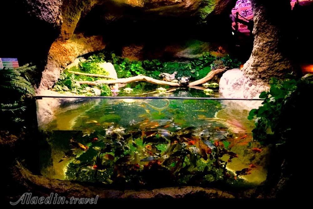 Cave Aquarium of Ganjnameh of Hamadan | Alaedin Travel