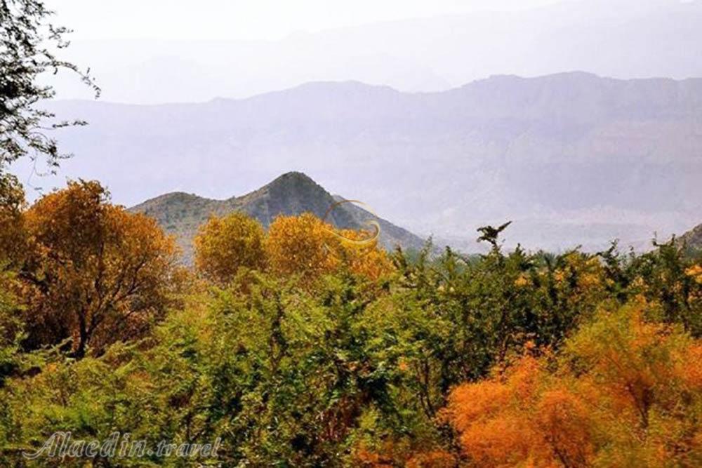 GaluBardakan Jungle of Jam | Alaedin Travel