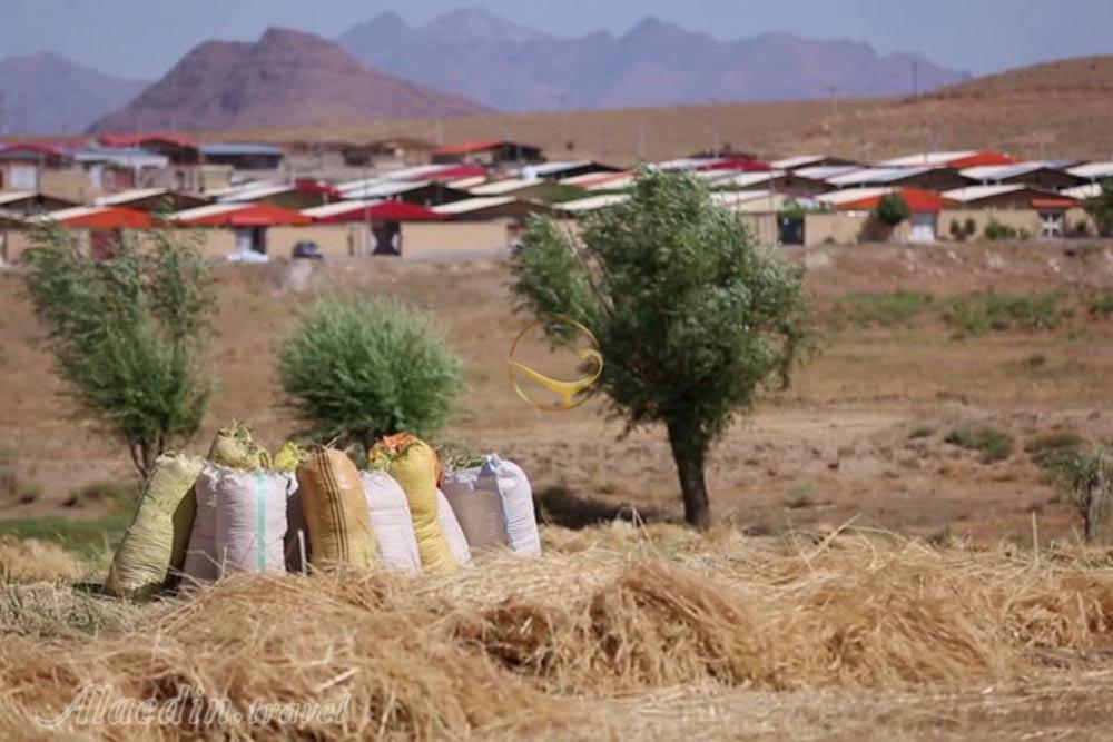 روستای آذران کاشان | علاءالدین تراول