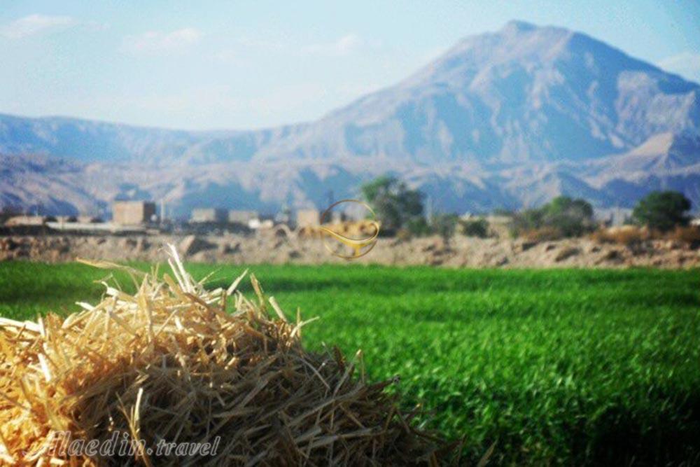 روستای غیاث آباد اردهال کاشان | علاءالدین تراول