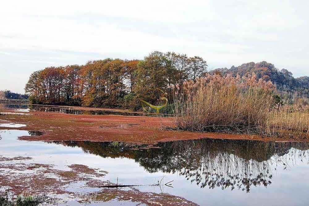 Soostan Lagoon of Lahijan | Alaedin Travel