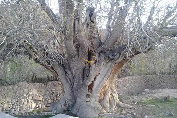 روستای اودرج رفسنجان