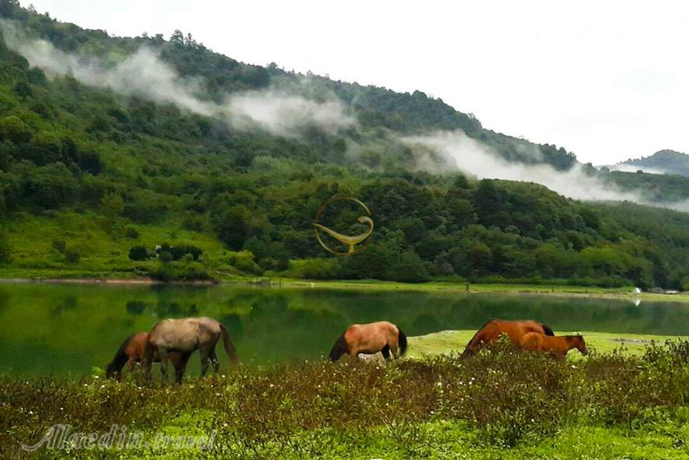 Lafour Lake of Savadkooh | Alaedin Travel