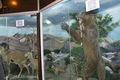 Natural History Museum in Semnan