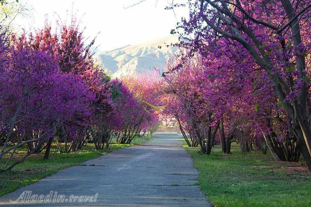 Botanical Garden of Tehran | Alaedin Travel