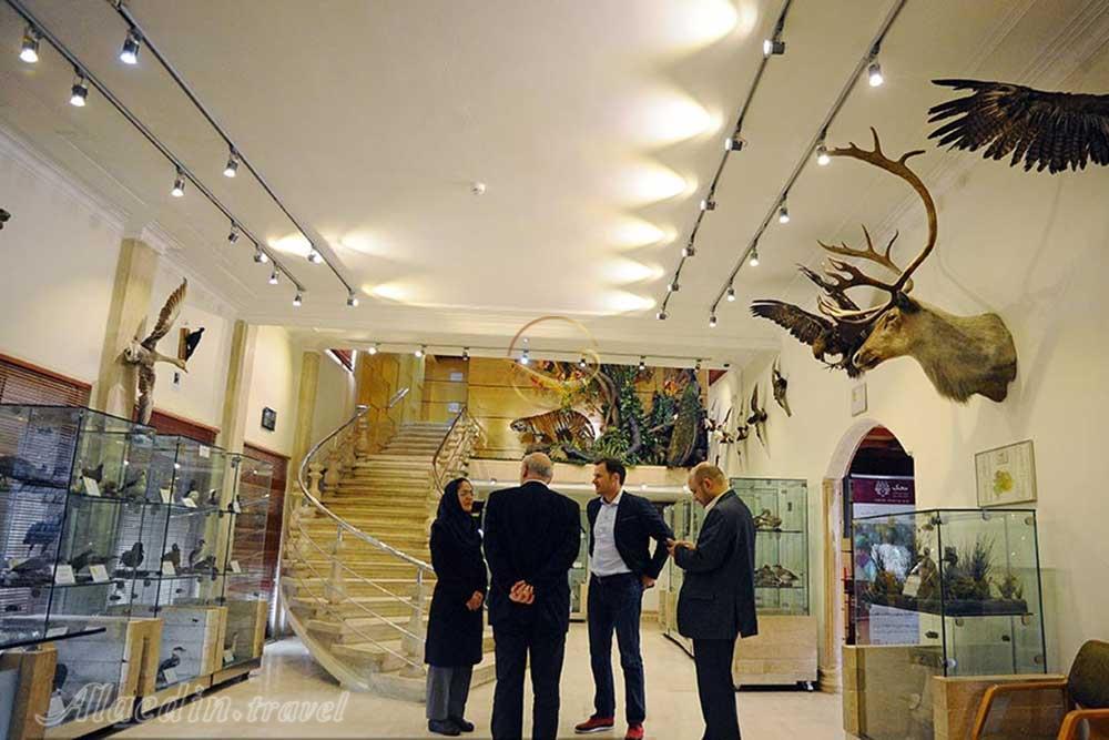 Iran Wildlife and Nature Museum of Dar Abad of Tehran |  Alaedin Travel