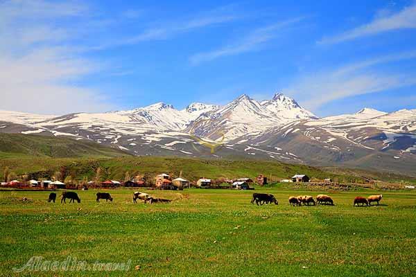 کوه آراگاتس (آرگاتس) در ایروان - ارمنستان