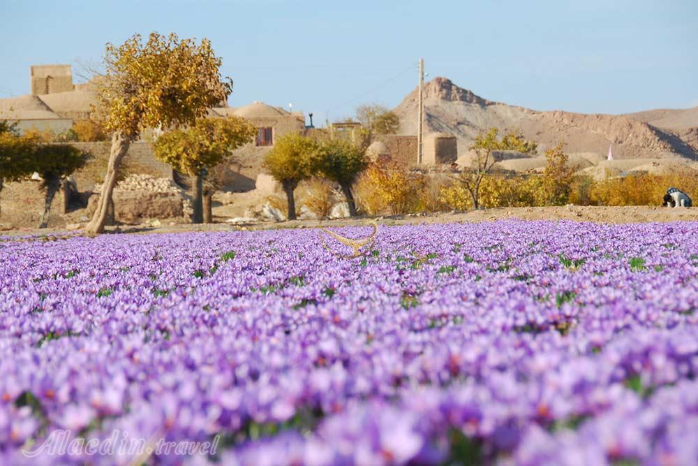 عکس های تور بیرجند شرق باشکوه