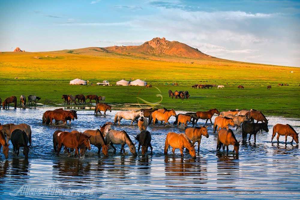 عکس های تور طبیعت گردی مغولستان