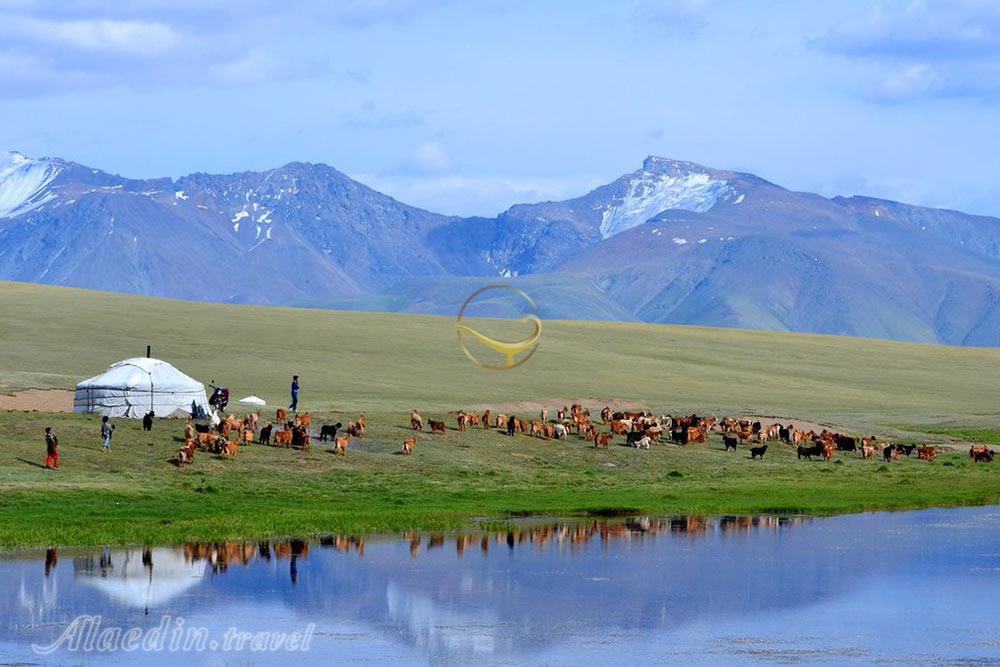 عکس های تور طبیعت گردی مغولستان