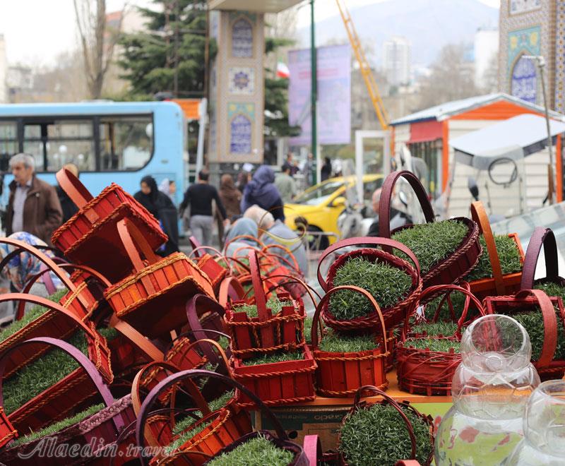 خرید سبزه و ماهی از تجریش 