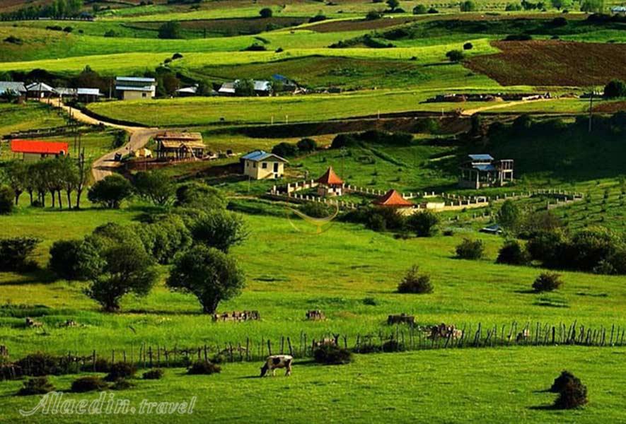 ییلاق دیلمان