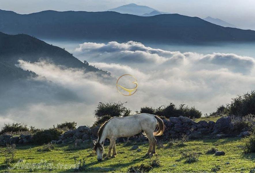 روستای فیلبند بابل 