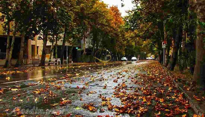 خیابانگردی در تهران