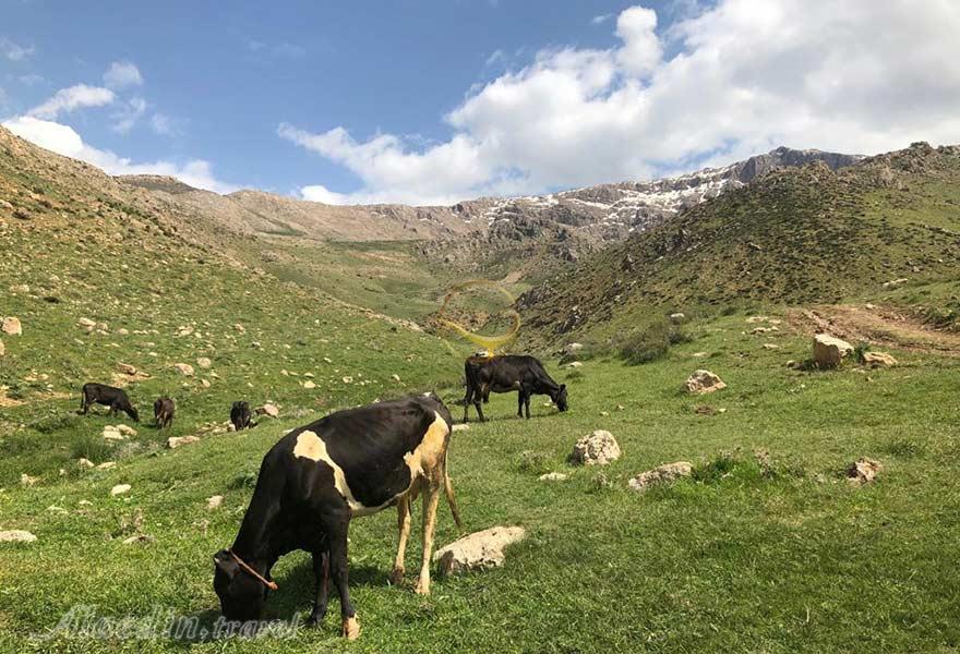 روستای سرماج کرمانشاه