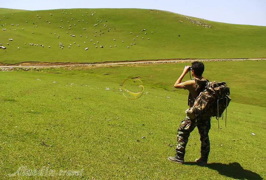 طبیعت گردی 