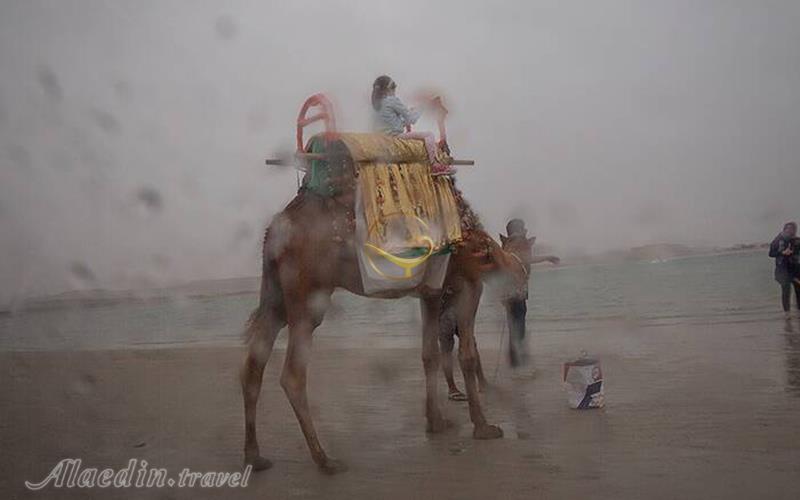 جزایر ناز 