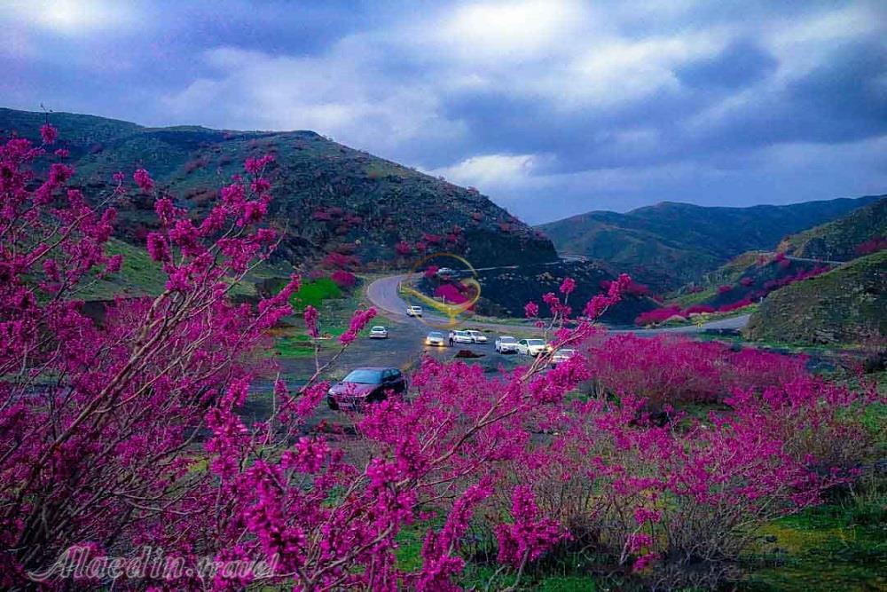 سفر به جاذبه‌های روستای واریش