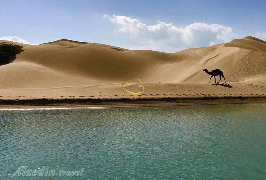 سفر زمینی به چابهار؟!