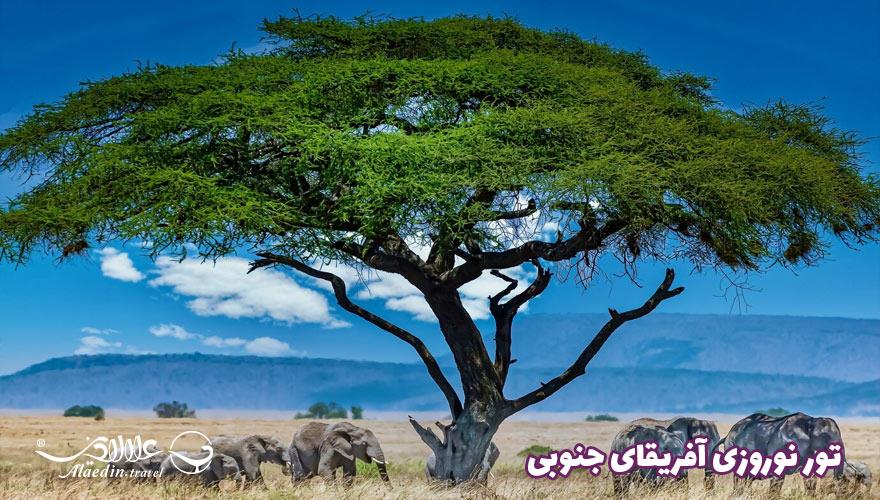 تور نوروزی 8 شب و 9 روز آفریقای جنوبی