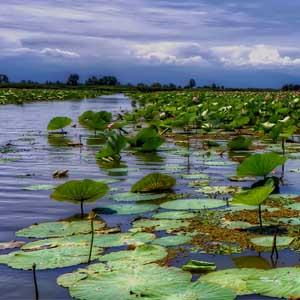 Ramsar to Lahijan and Anzali