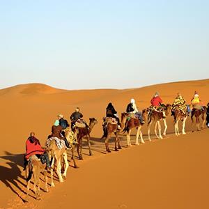 Mesr Desert